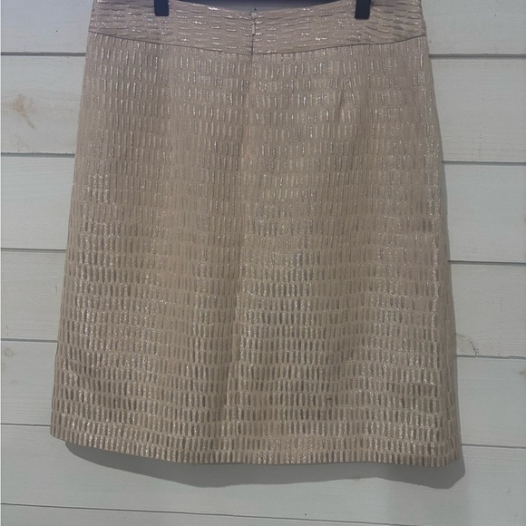 Talbots NWT Shimmering Beige Pencil Skirt in size 8 - Picture 5 of 16